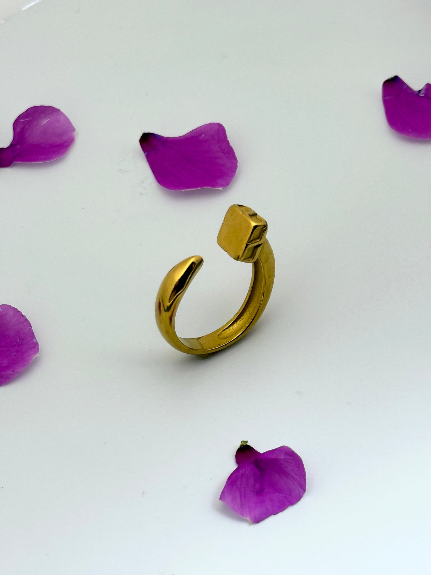 Nailed It Adjustable Ring